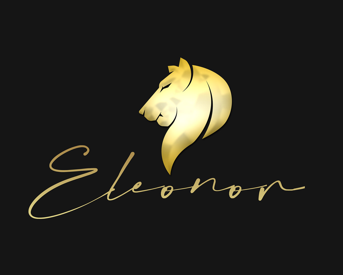 Eleonor Shop - Diseño gráfico
