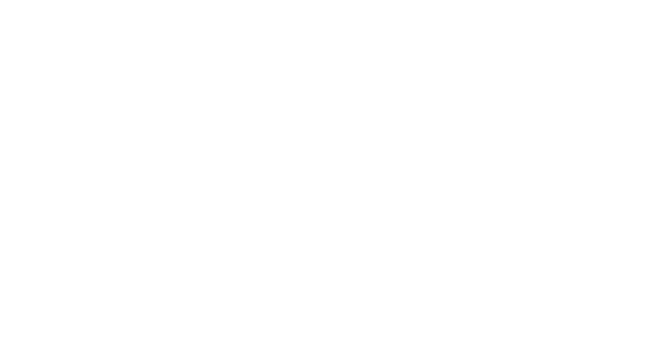 Logo Edevis Raga